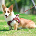 Pet Products Collar Multi Specification Pet Dog Harness